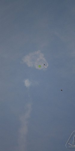 2012 Svojek mirek patek